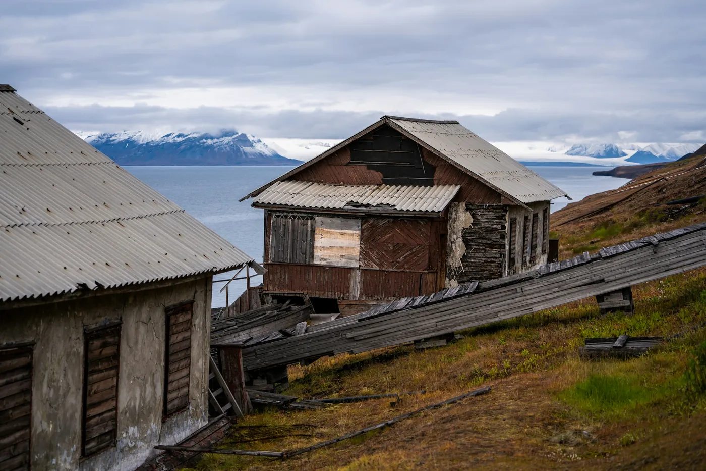 Verwitterte Holzhäuser an einem Grashang über dem Fjord, in der Ferne Berge